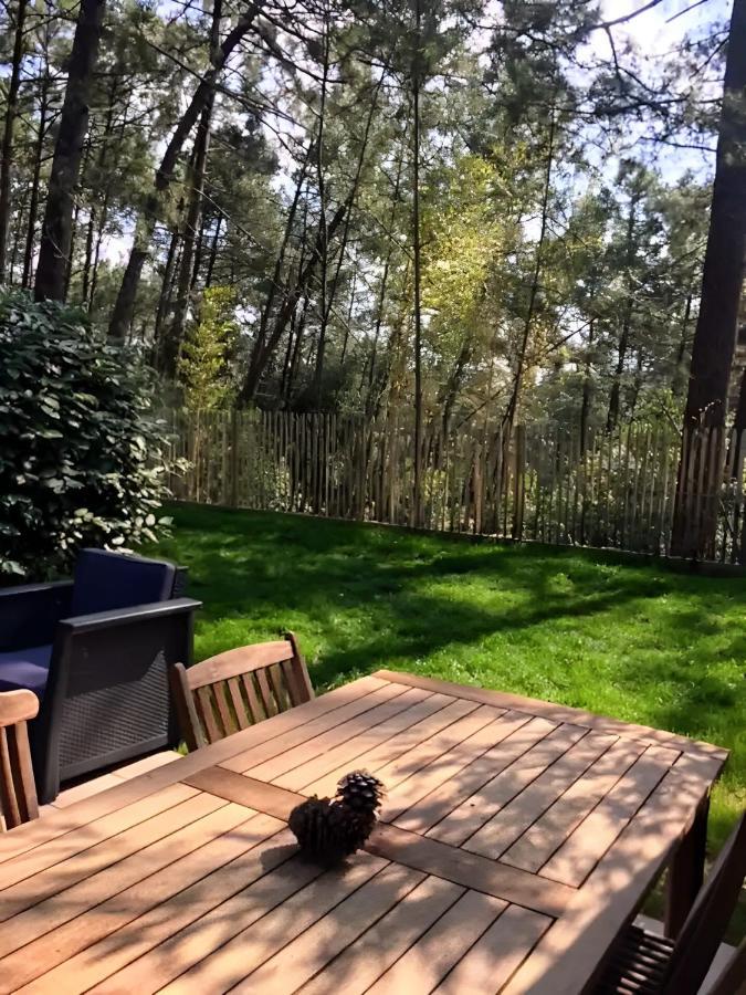 הוילה לאקאנו Un Nid Dans La Pinede מראה חיצוני תמונה