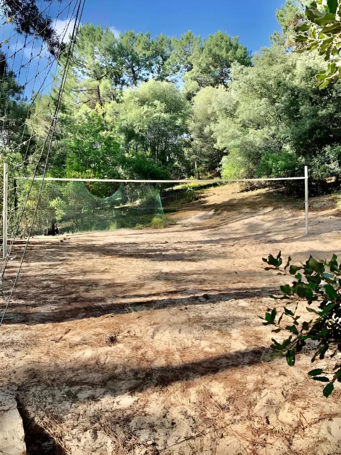 הוילה לאקאנו Un Nid Dans La Pinede מראה חיצוני תמונה